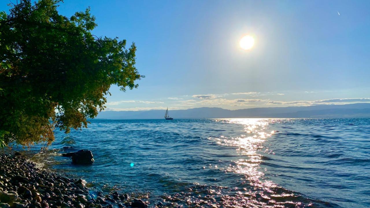 Chez Mat Bed & Breakfast Thonon-les-Bains Bagian luar foto