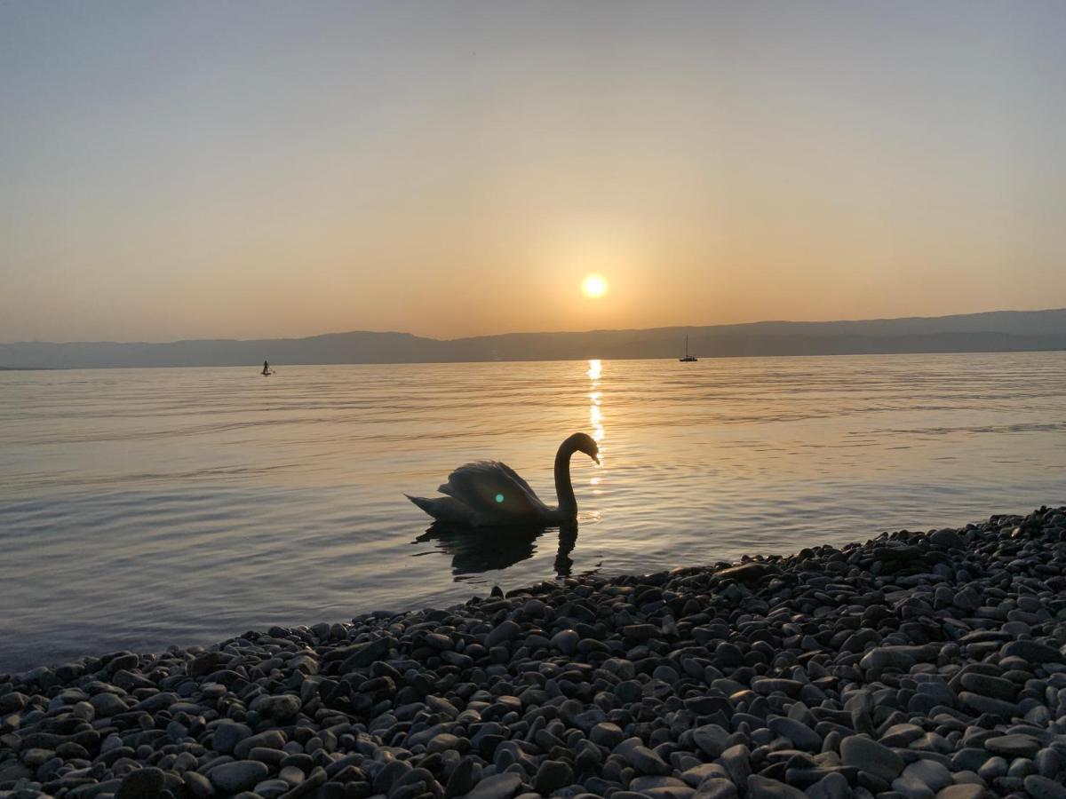 Chez Mat Bed & Breakfast Thonon-les-Bains Bagian luar foto