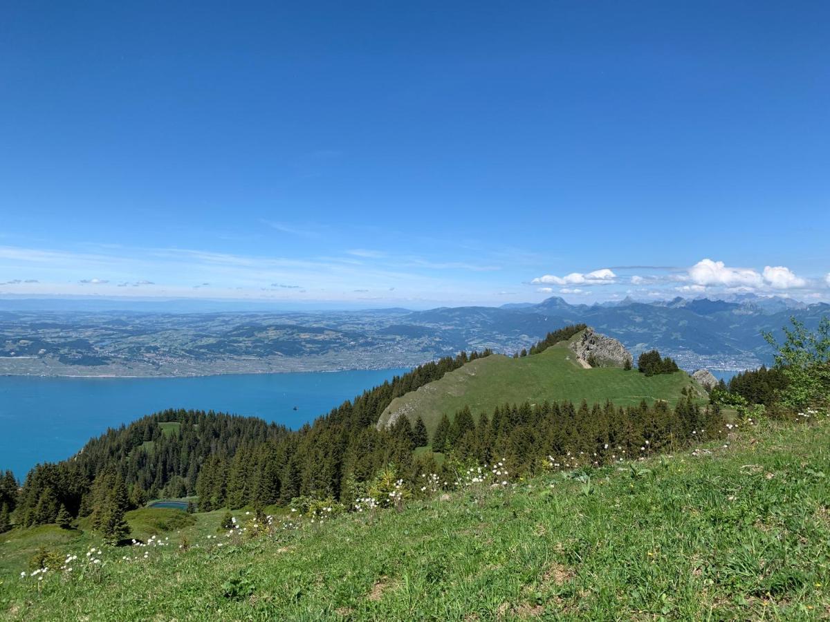 Chez Mat Bed & Breakfast Thonon-les-Bains Bagian luar foto